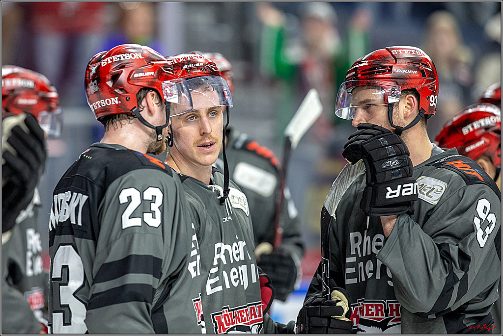 DEL; Koelner Haie - Thomas Sabo Ice Tigers, 28.11.2018